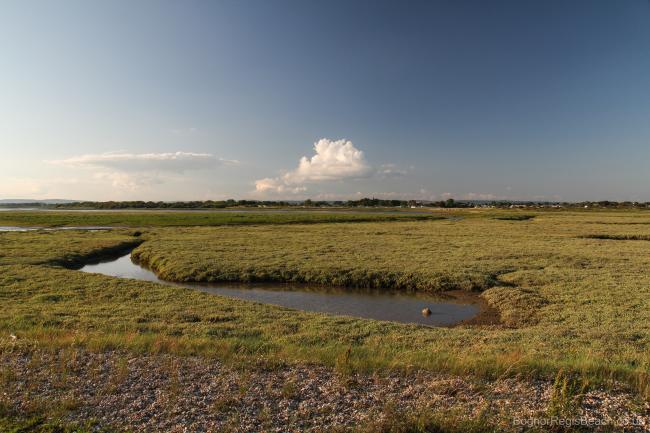 View of Pagham harbour with marshland in foreground
